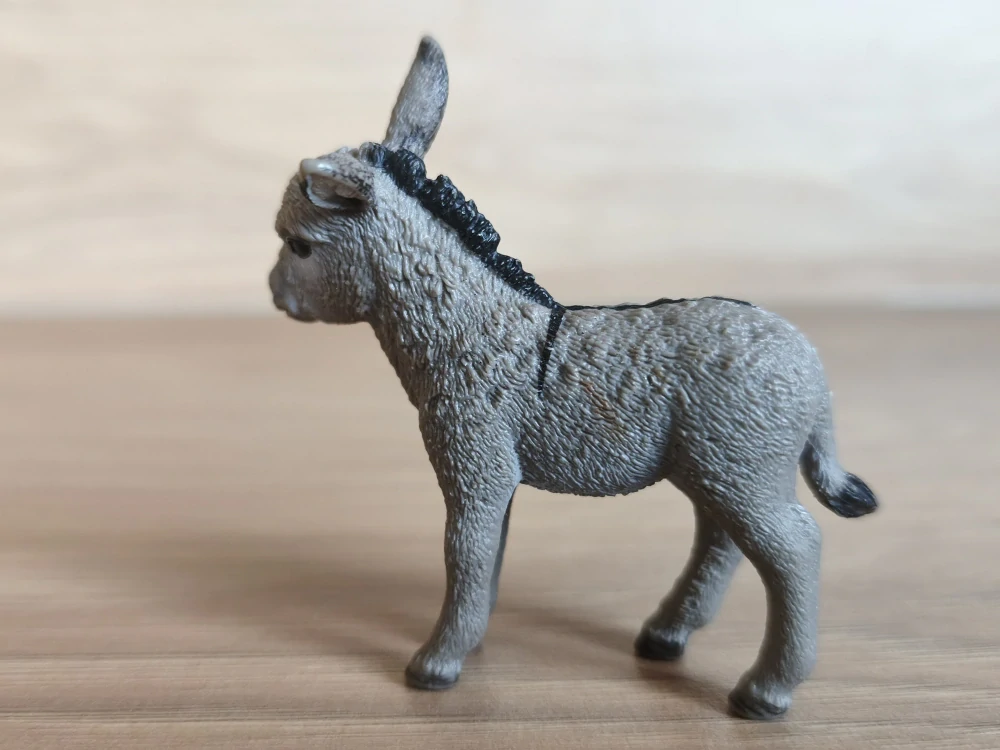 osel mládě 13746, model 2013