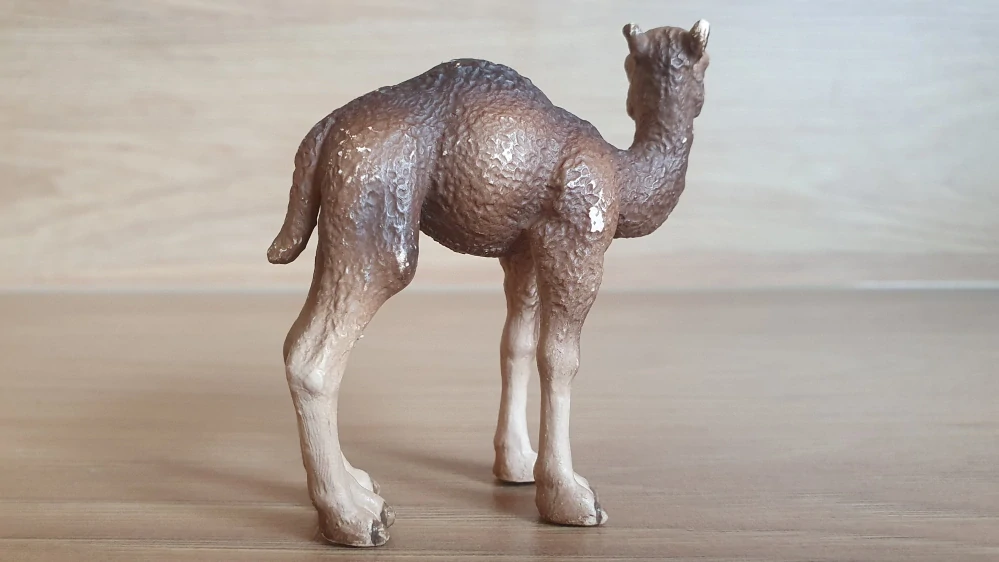 velbloud jednohrbý mládě 14356, model 2005