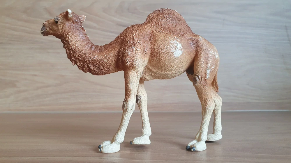 velbloud jednohrbý 14832, model 2019