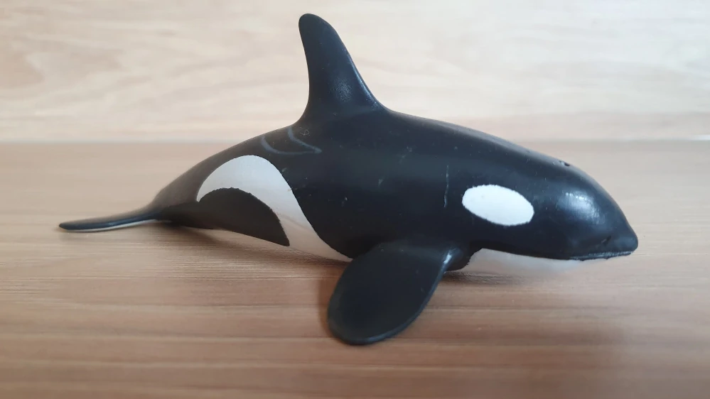 kosatka mládě 16091, model 2005