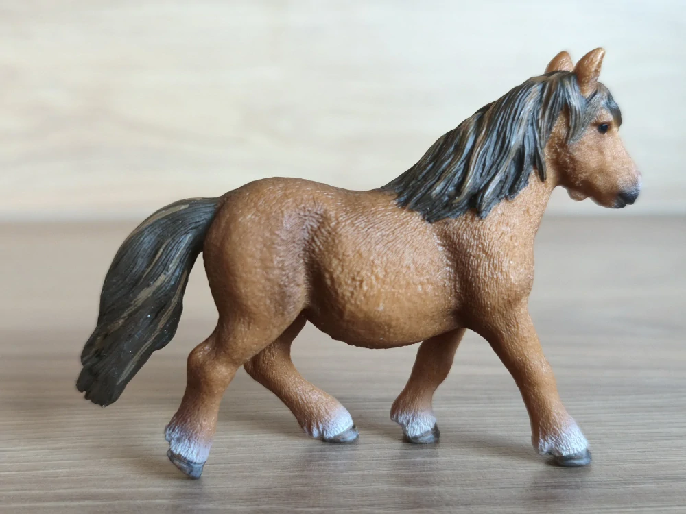 Shetlandský poník 13750, model 2013
