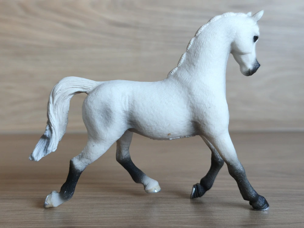 Bílá arabská klisna  13761, model 2013
