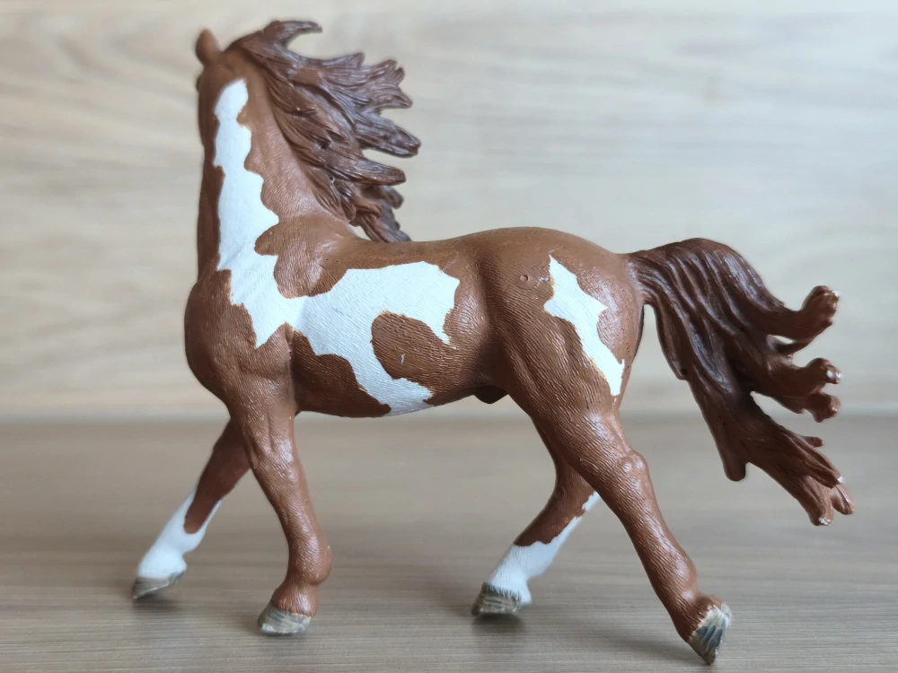 hřebec Pinto  13794, model 2014