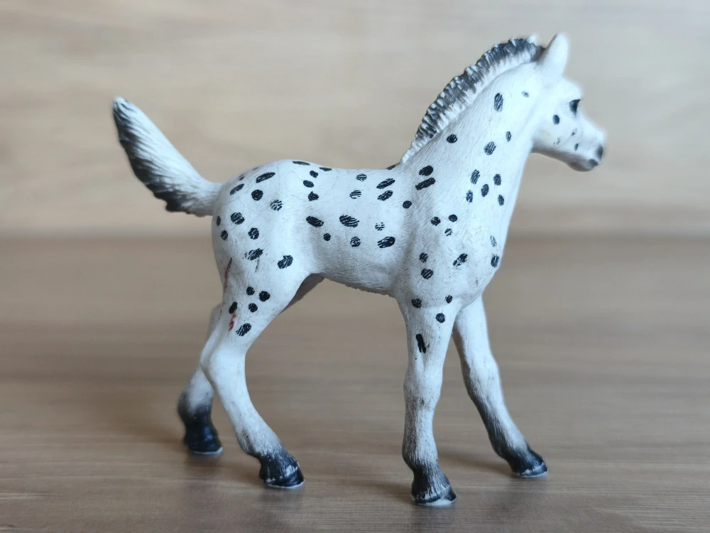 Knabstrupperské hříbě  13890, model 2018