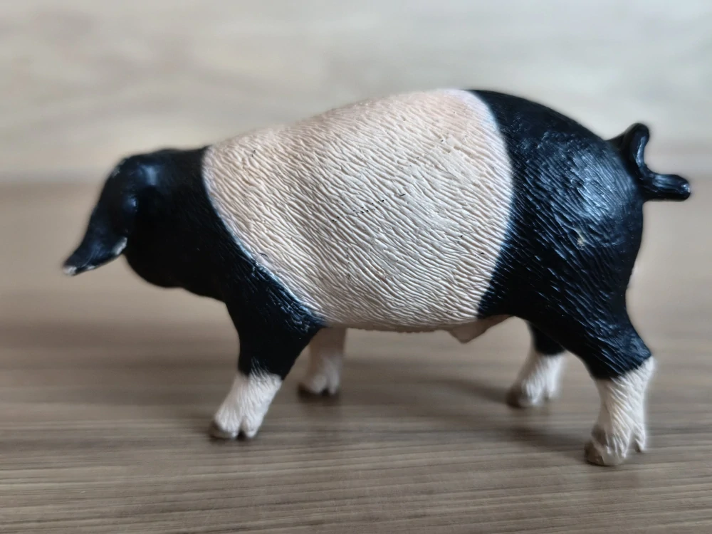 prase švábské 13643, model 2008