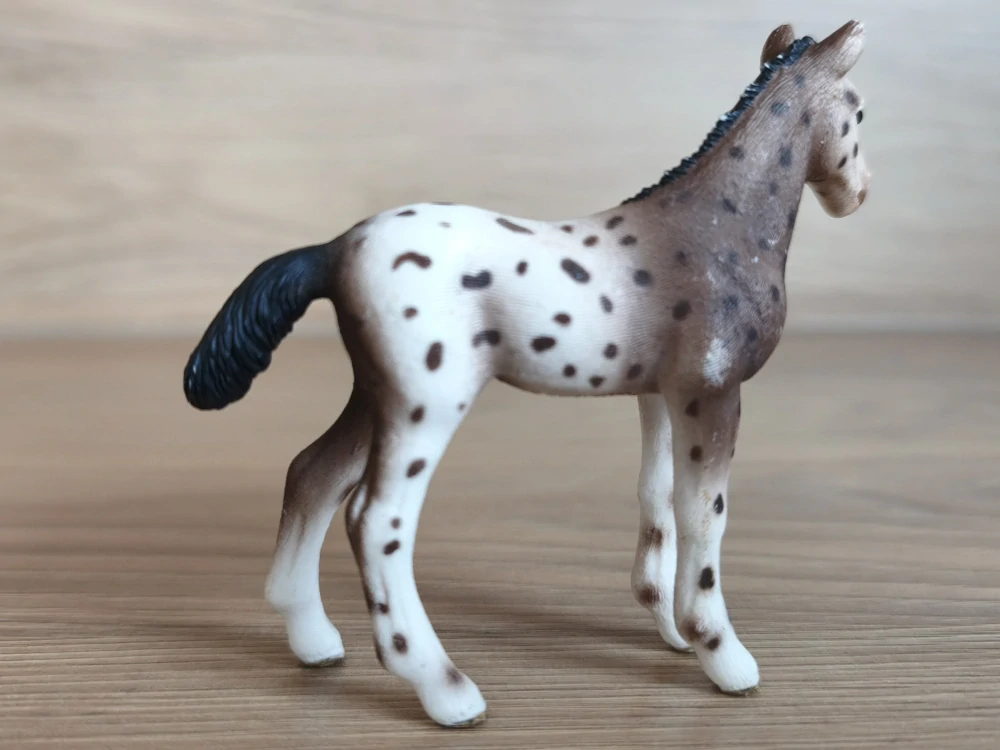 Knabstrupperské hříbě 13760, model 2013