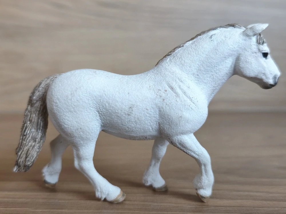 Poník Welsh 13872, model 2017