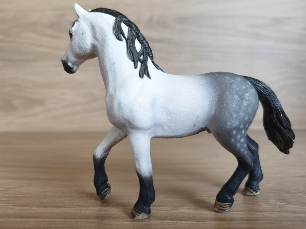 Andaluský hřebec 13821, model 2016
