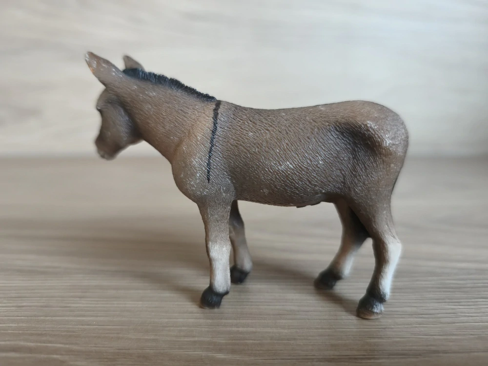 osel 13644, model 2008