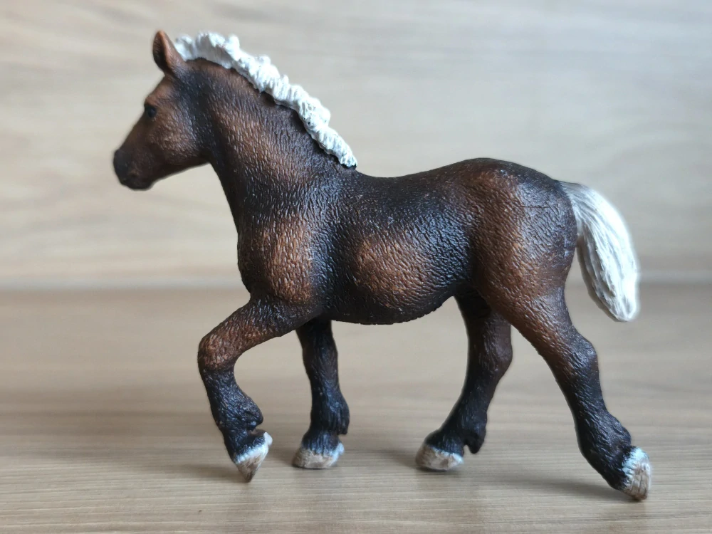 Černý lesní hříbě – roční  13665, model 2009