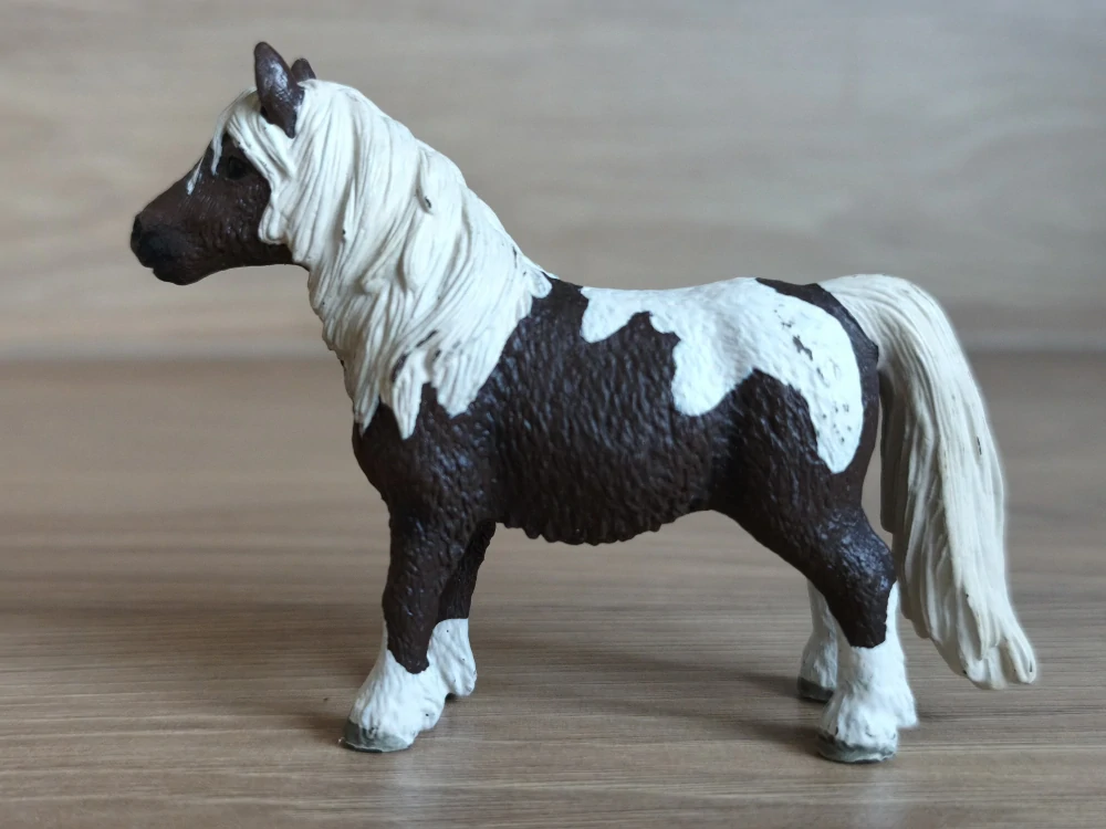 Shetlandský poník valach 13751, model 2009