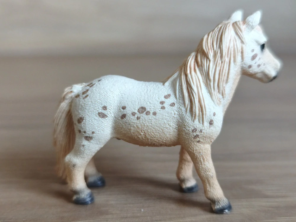 Fallabella valach  13759, model 2013