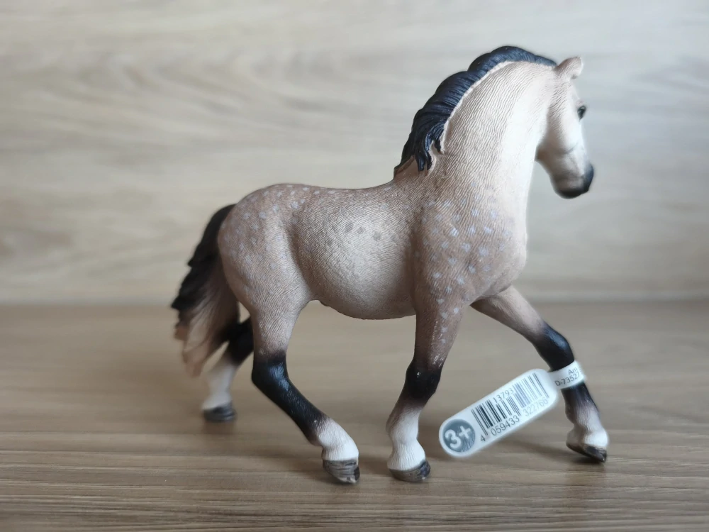 Andaluská klisna 13793, model 2014