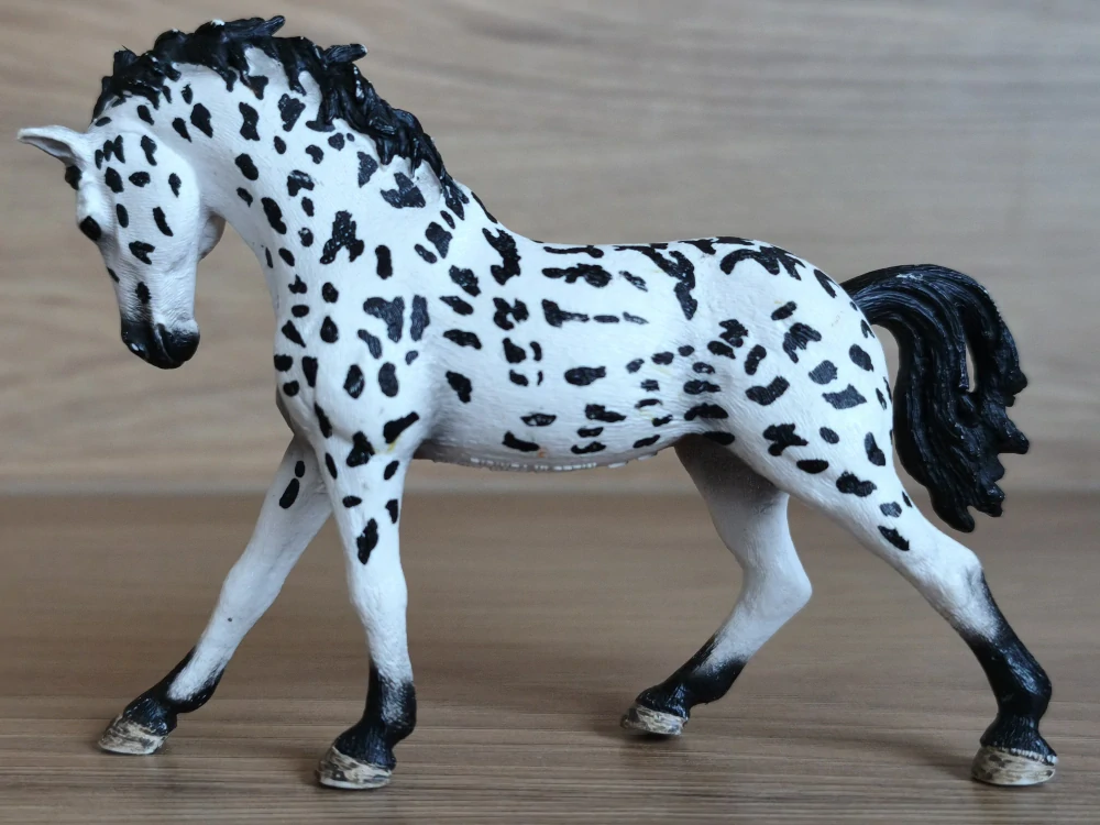 Knabstrupperská klisna 13769, model 2014