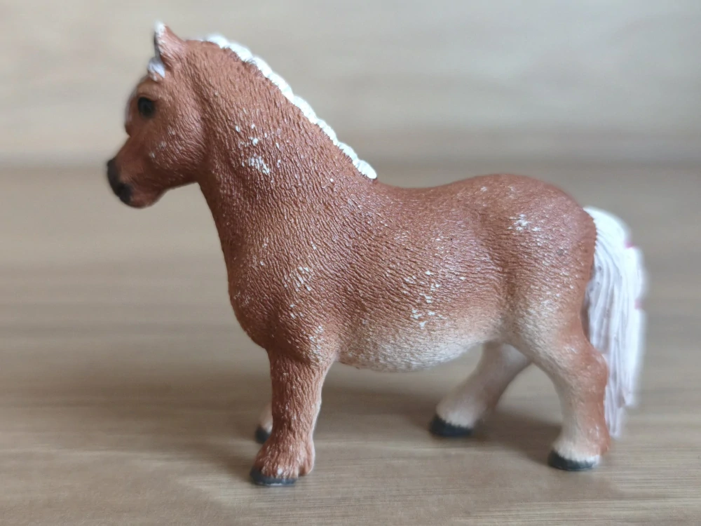 Shetlandský poník 13776, model 2014