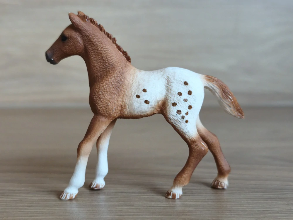 Appaloosa hříbě 42433, model 2017