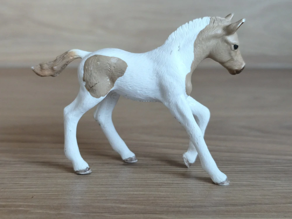 Paint hříbě  13886, model 2018