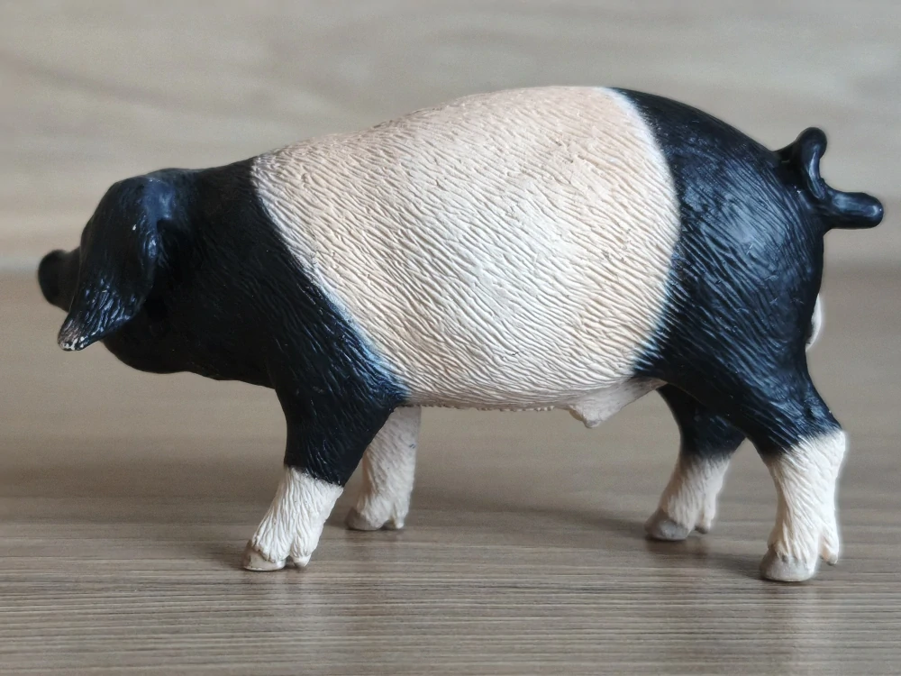 prase švábské  13643, model 2008