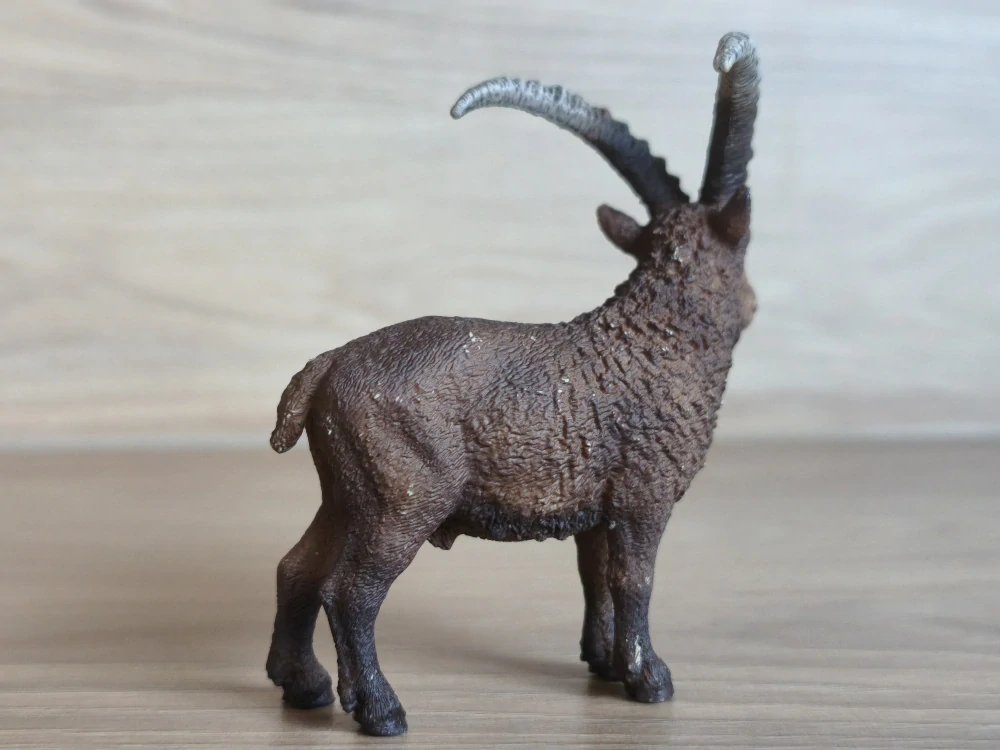 kozorožec  41459, model 2016