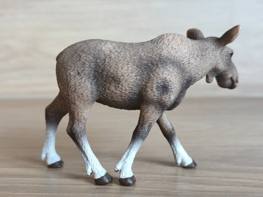 los samice 14620, model 2009