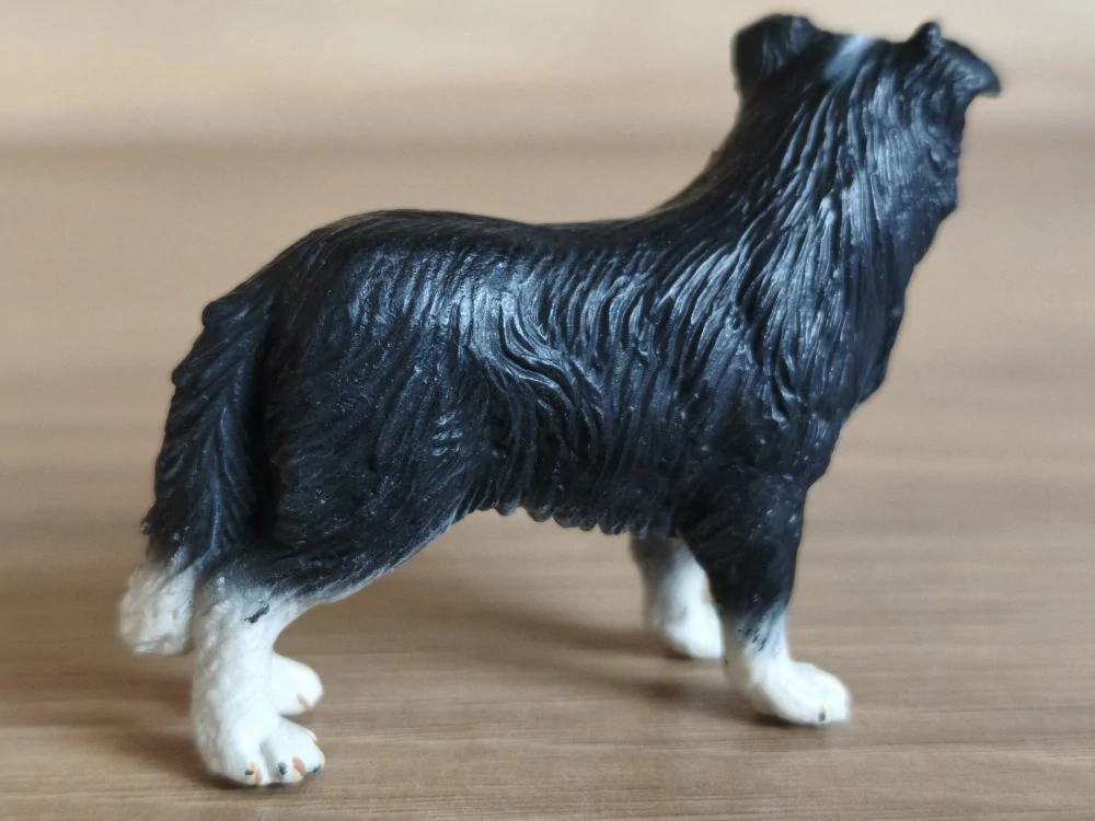 border kolie 16330, model 2002