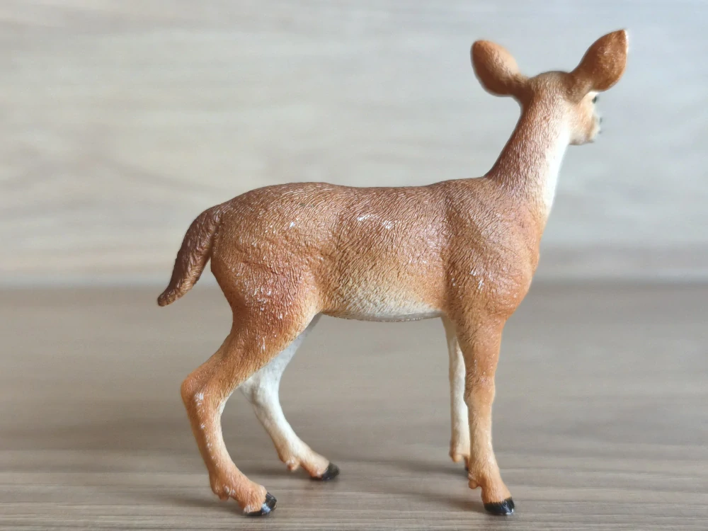 Laň jelence 14819, model 2018