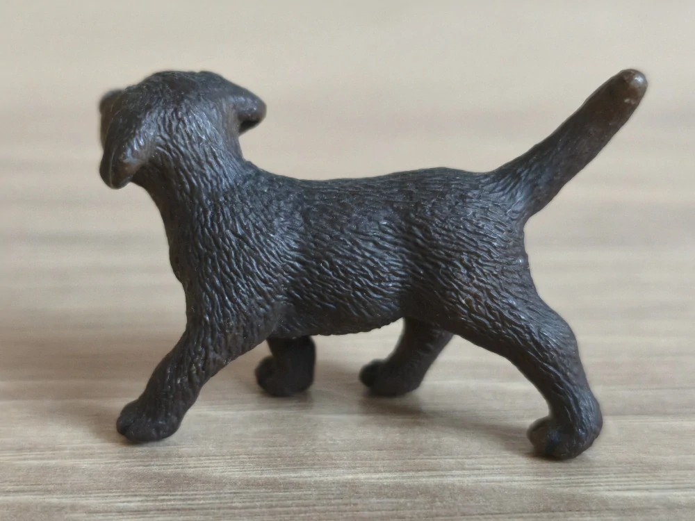 labrador hnědý štěně 16388, model 2009