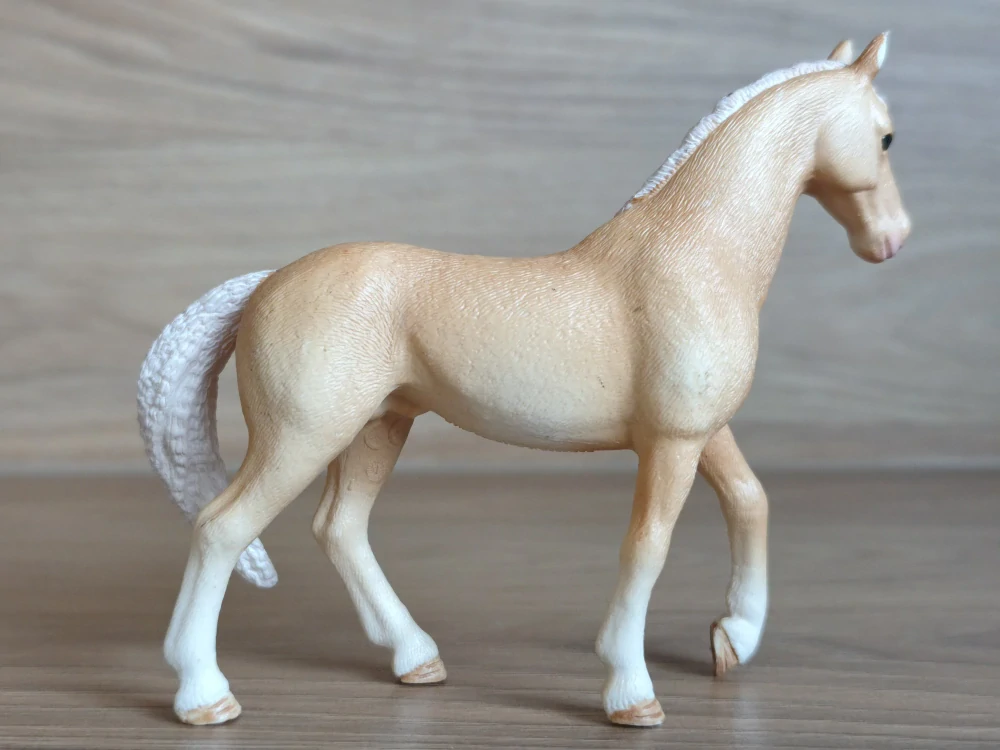 Achaltekinský kůň 13911, model 2019