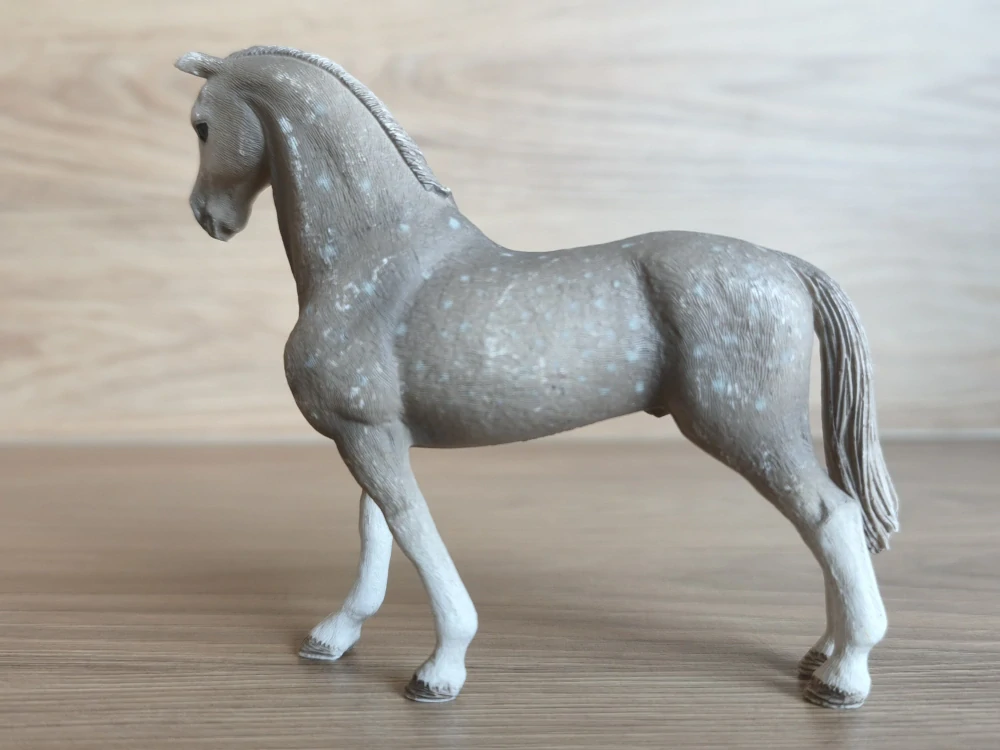 Holštýnský valach 13859, model 2017