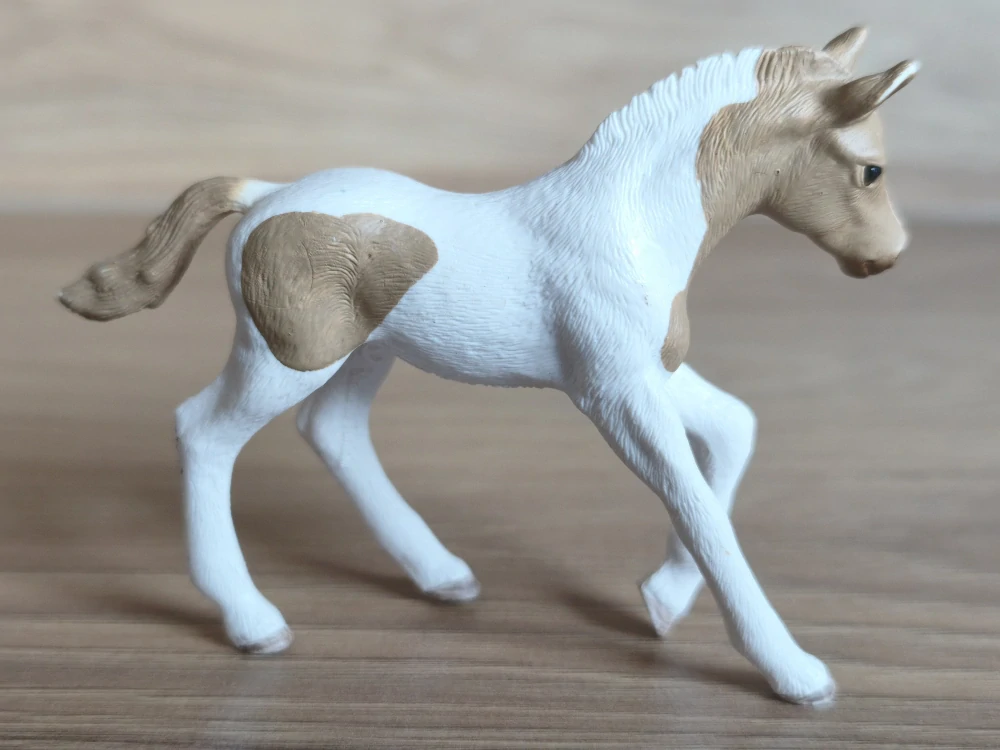 Paint hříbě  13886, model 2018