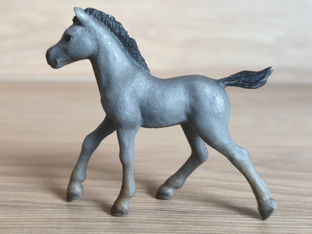 Arabské hříbě  97875, model 2013