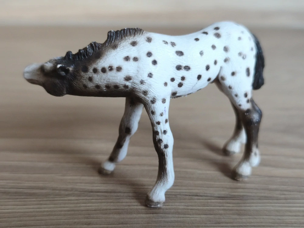 Knabstrupperské hříbě 13619, model 2006