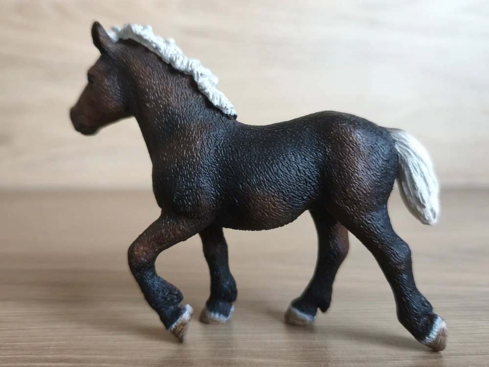 Černý lesní hříbě – roční 13665, model 2009