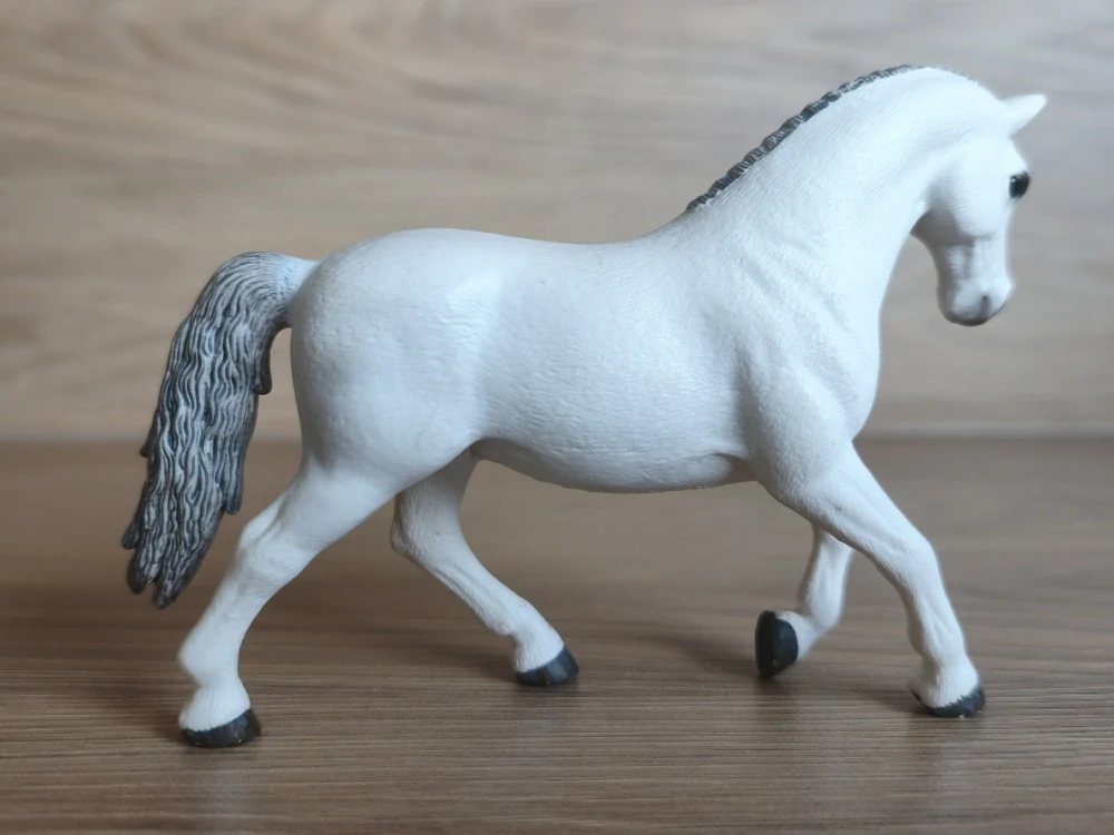 Lipicán kobyla  13737, model 2012