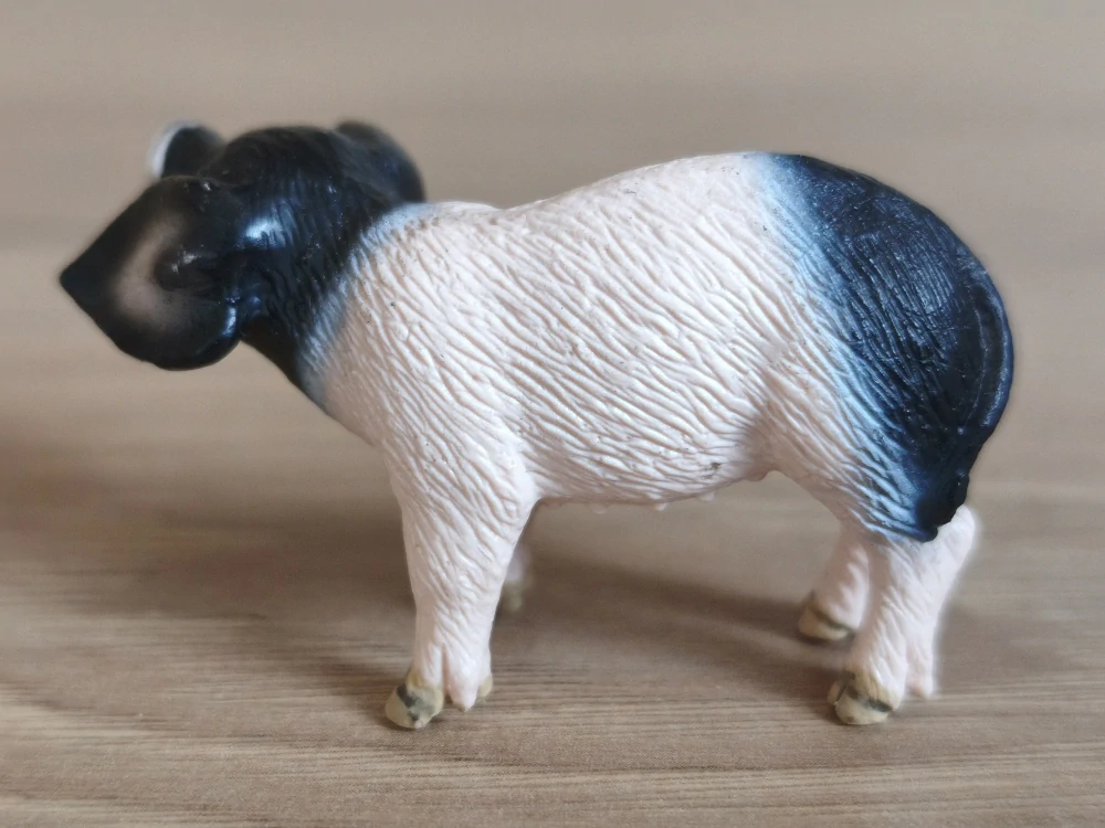 sele švábské 13636, model 2007