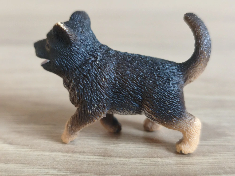 Německý ovčák štěně 16832, model 2014