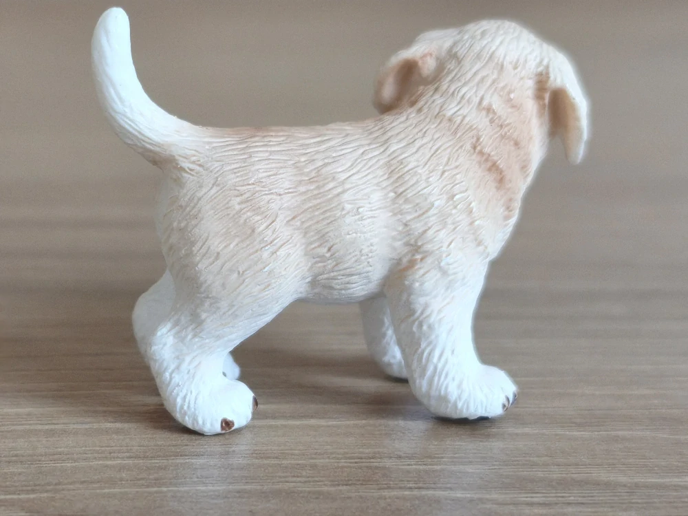 zlatý retrívr štěně 16378, model 2008