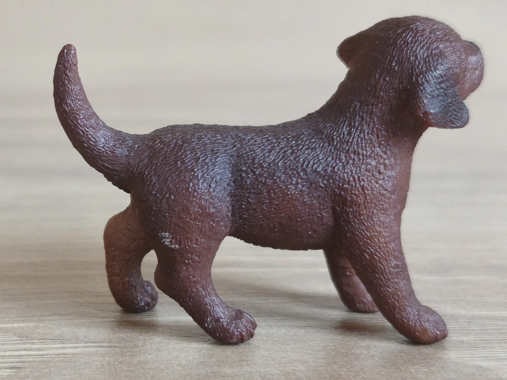 Labradorský retrívr štěně 13835, model 2016