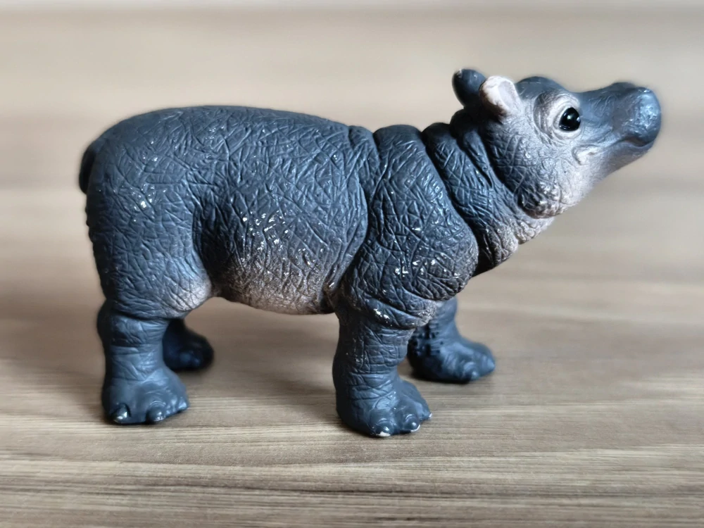 hroch mládě 14831, model 2019