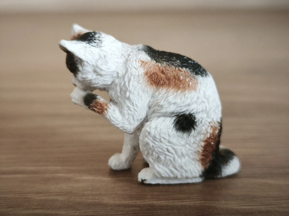 kočka flekatá, lízající packu 13675, model 2010