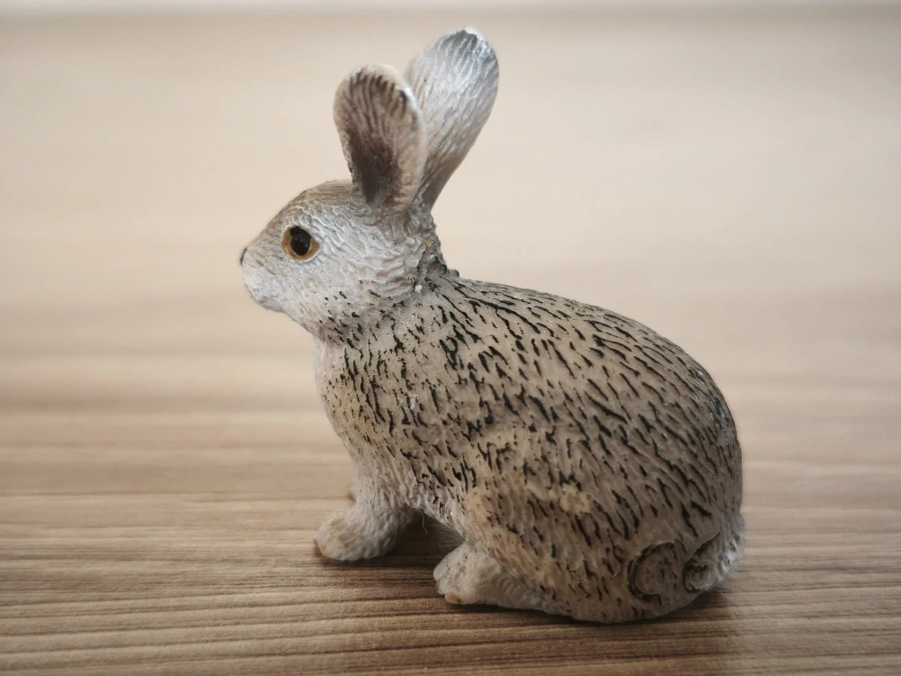 králík divoký  14631, model 2009