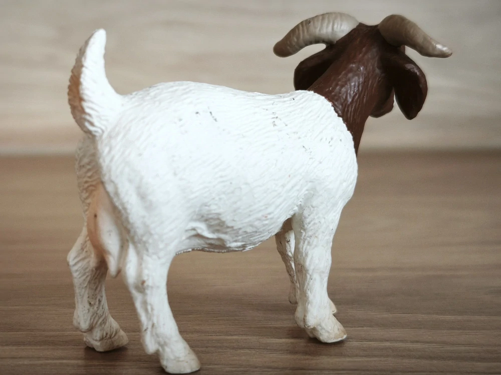 Koza burská  13259, model 2001