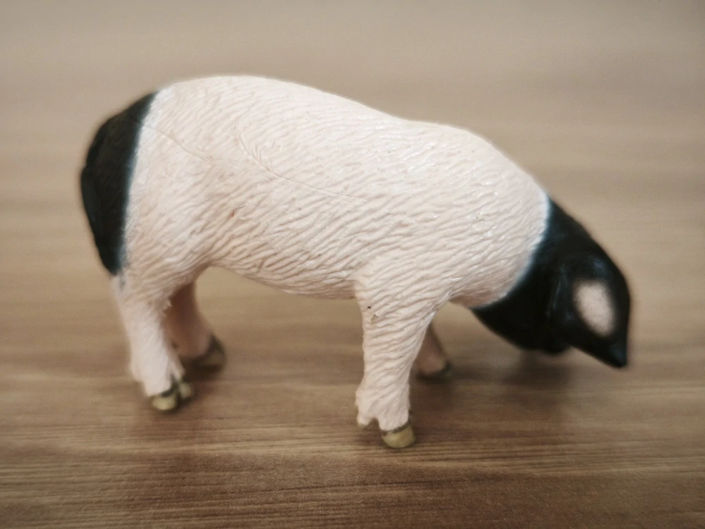 sele švábské  13635, model 2007