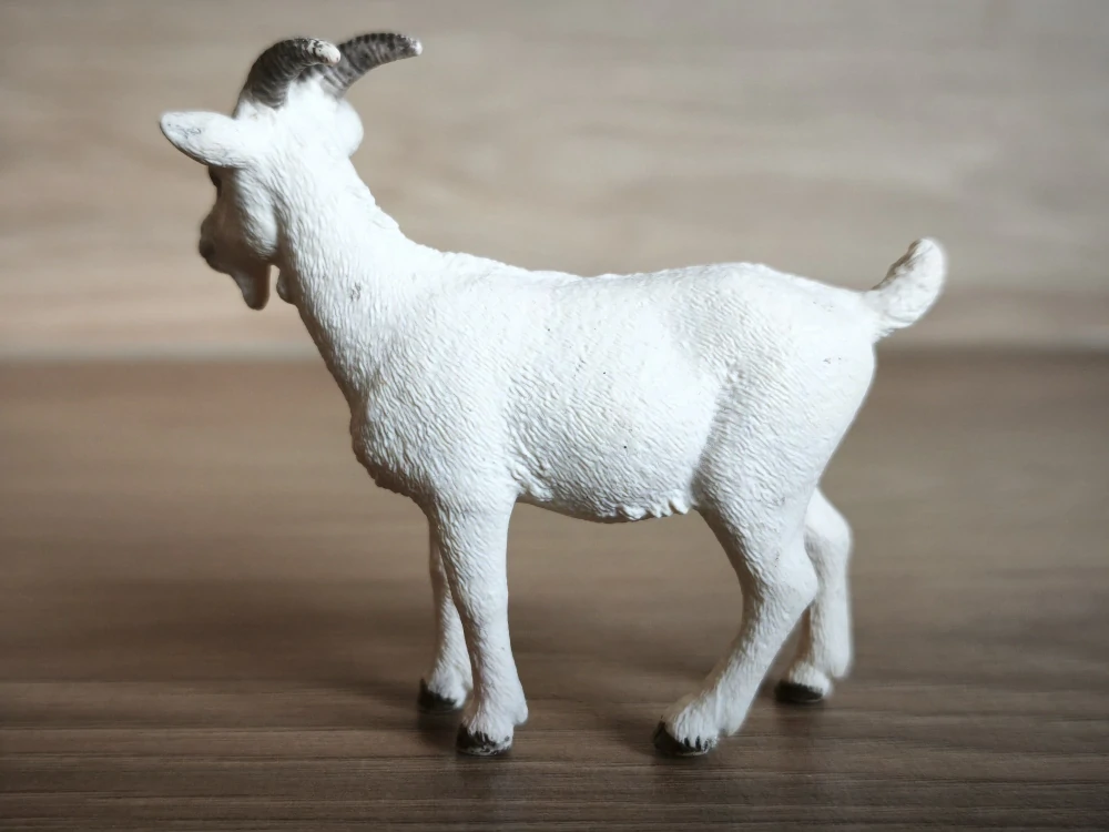koza 13719, model 2012