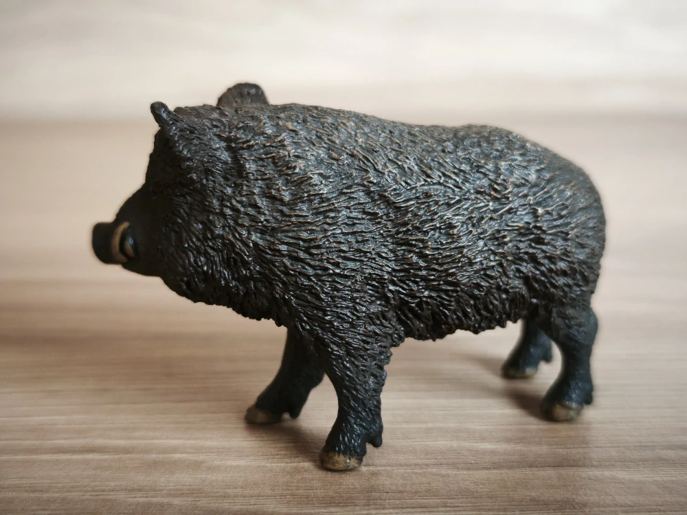 prase divoké 14783, model 2016