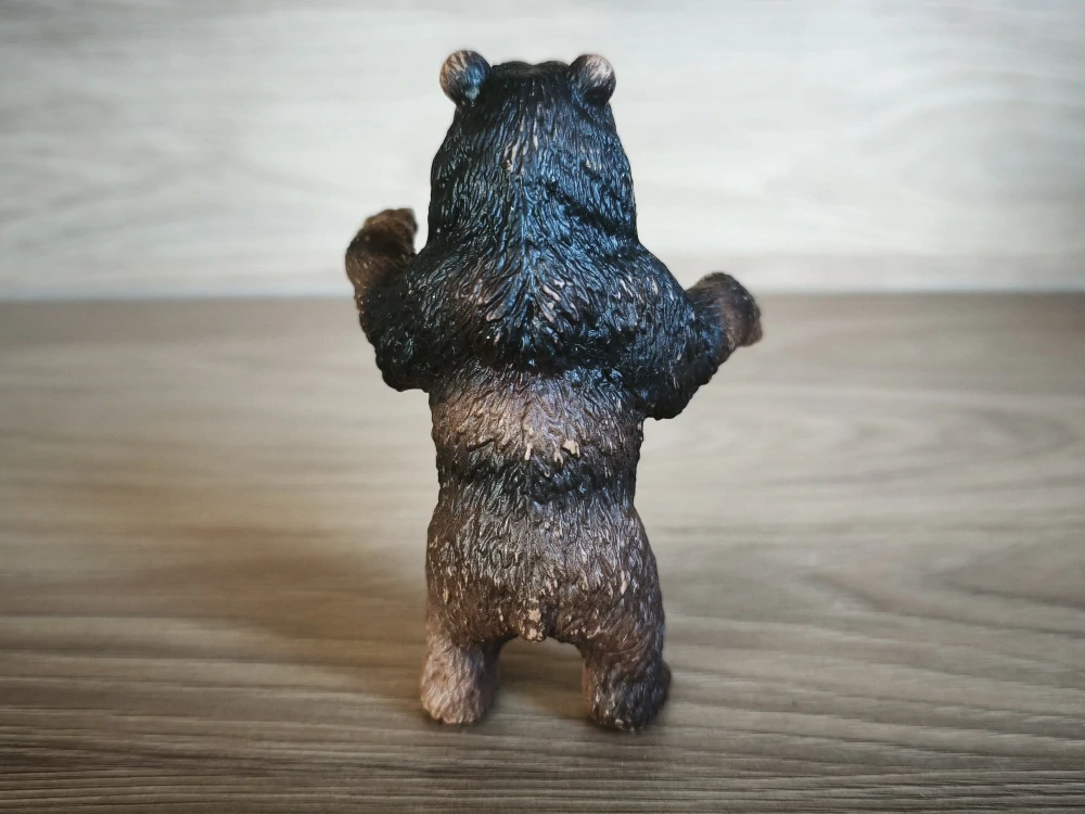medvěd Grizzly stojící 14128
