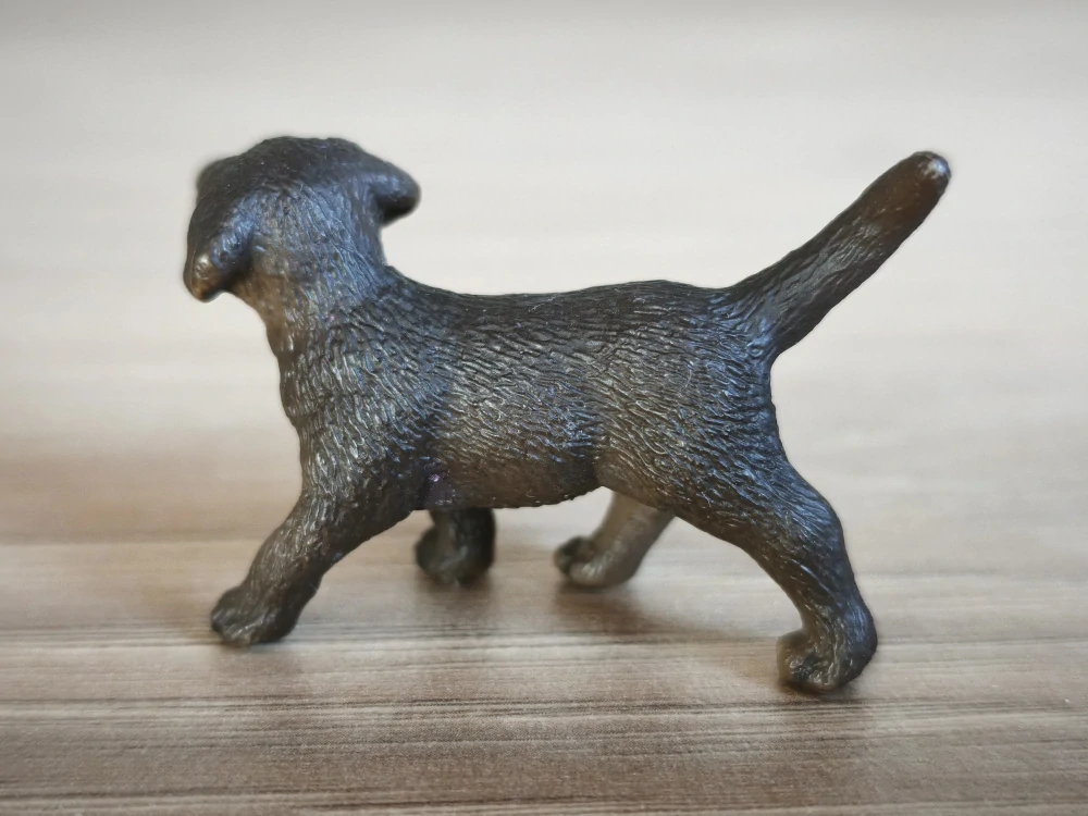 labrador hnědý štěně 16388, model 2009