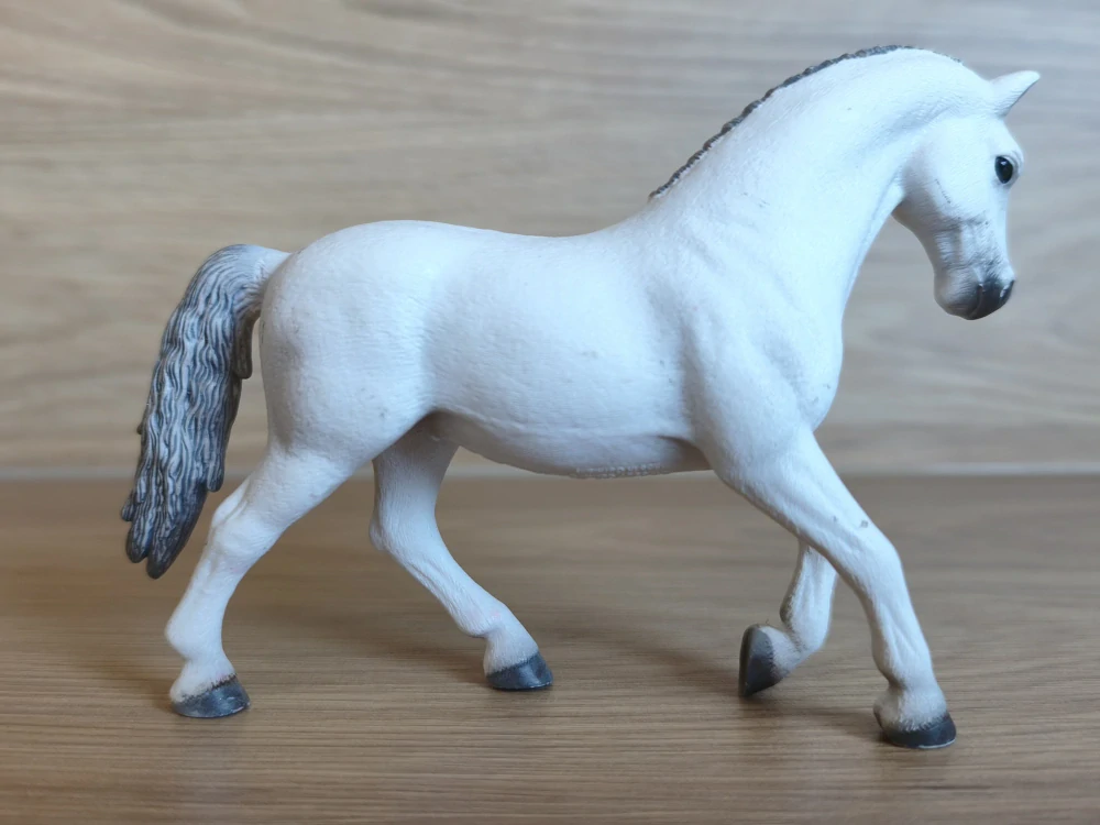 Lipicán kobyla 13737, model 2012