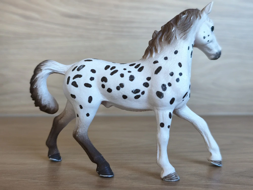 knabstrupperský hřebec 13889, model 2018