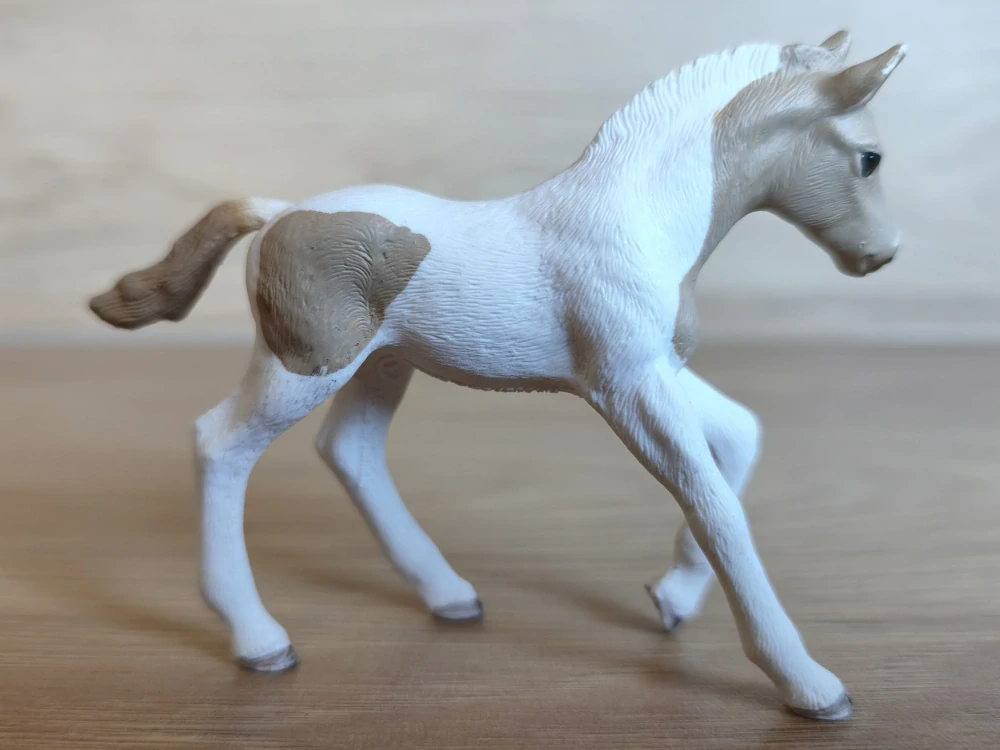 Paint hříbě 13886, model 2018